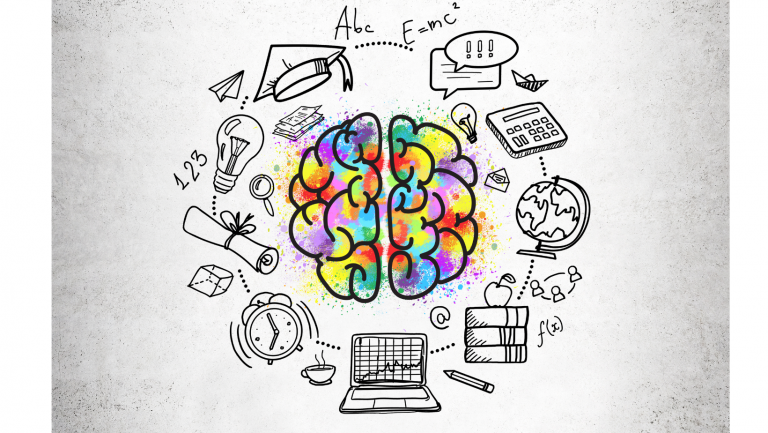 Neuroeducation in the improvement of the learning process in higher education: factors, strategies